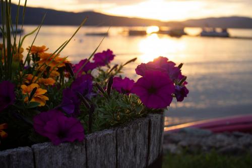 Newfound Lake, New Hampshire