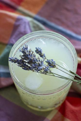 Lavender Lemonade Cocktail